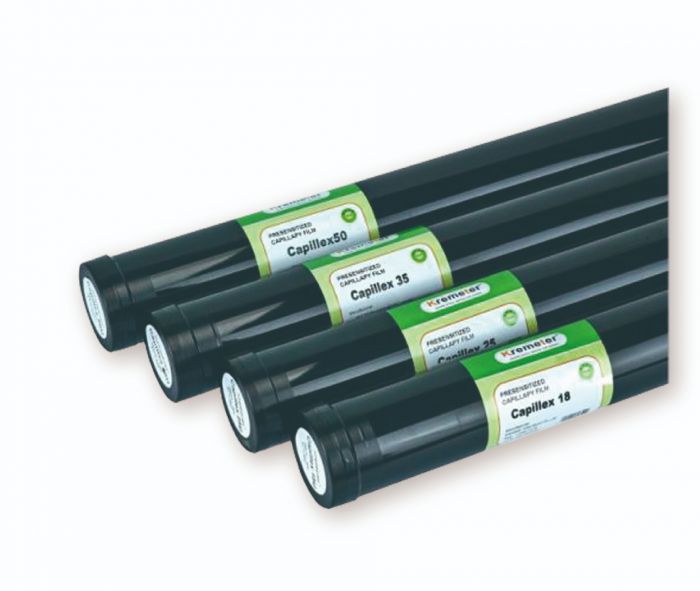 毛细菲林 毛细菲林